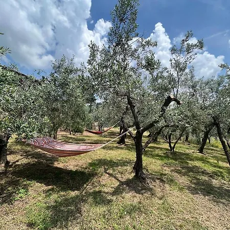 Casa Della Noce Vinci